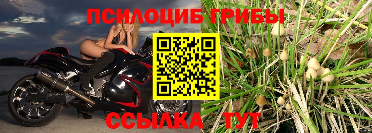 Менделеевск  Псилоцибиновые грибы Magic Shrooms  Вход с VPN 